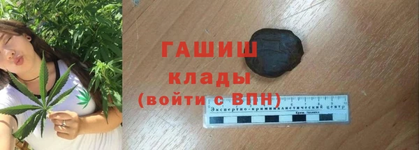 гидра Абаза